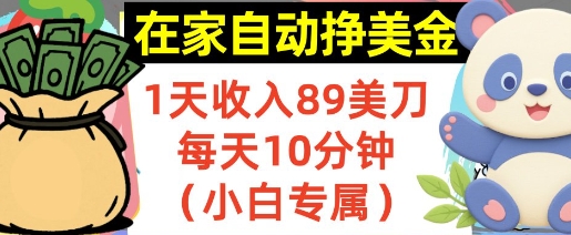 在家自动挣美金，1天收入89刀，每天10分钟，小白专属，长期的被动收入-水水网赚