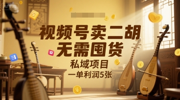 视频号卖二胡，无需囤货，私域项目，一单利润5张-水水网赚
