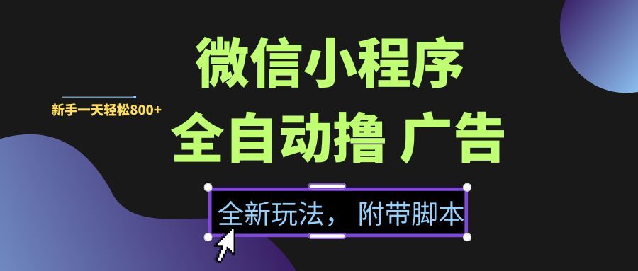 （15134期）微信小程序挂机撸广告，全新玩法，新手一天轻松800+【附带脚本】-水水网赚