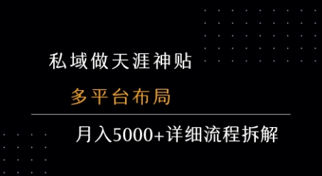 私域做天涯神贴 多平台布局 月入5k+详细流程拆解-水水网赚