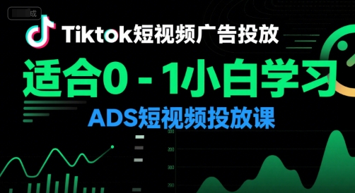 Tiktok短视频广告投放，适合0-1小白学习ADS短视频投放课-水水网赚