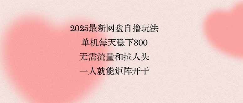 （15831期）2025最新网盘自撸玩法，单机每天稳下3张，无需流量和拉人头，一个人就…-水水网赚