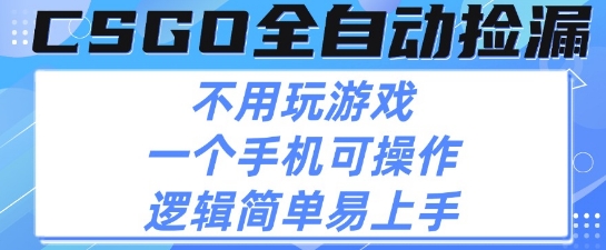 CSGO自动捡漏项目，最新独家玩法，不用挂G不用玩游戏，一个手机即可操作，新手小白轻松月入1W+【揭秘】-水水网赚