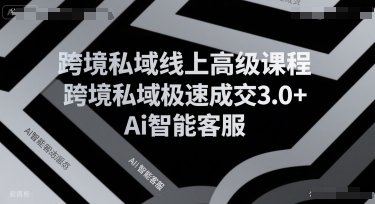 跨境私域线上高级课程，跨境私域极速成交3.0+Ai智能客服-水水网赚