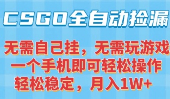 CSGO自动捡漏项目，最新独家玩法，一个手机可操作，新手小白轻松月入1W+，操作简单易上手【揭秘】-水水网赚