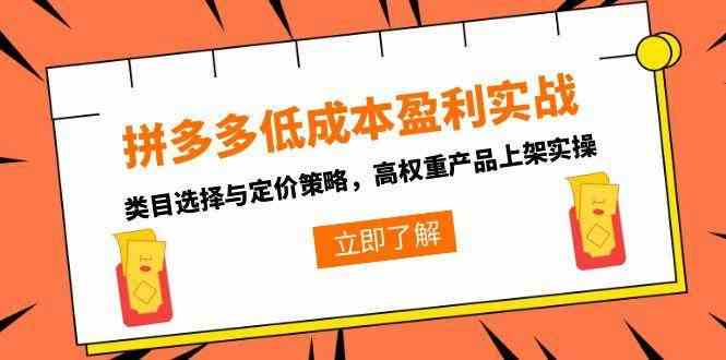 拼多多低成本盈利实战，类目选择与定价策略，高权重产品上架实操-水水网赚