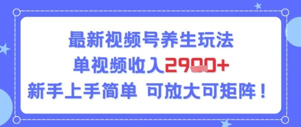 视频号养生玩法，单视频收入2.9k，新手上手简单-水水网赚