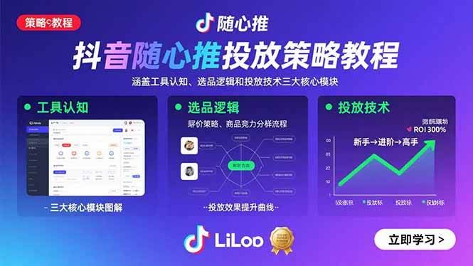 （15828期）抖音随心推投放策略教程：涵盖工具认知、选品逻辑和投放技术三大核心模块-水水网赚