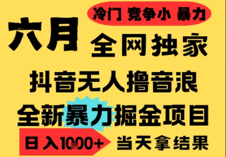 25年6月高爆抖音无人直播最新撸音浪掘金项目，小白可做，无脑日入1k+，门槛低可批量矩阵【揭秘】-水水网赚