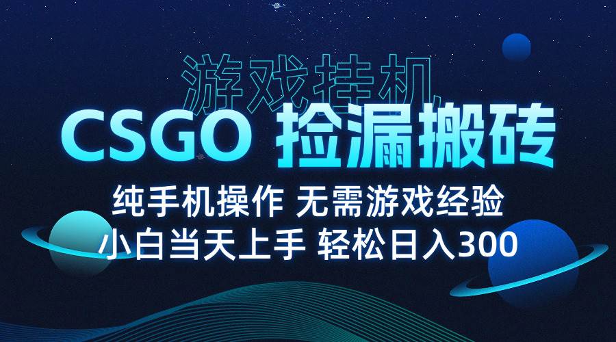 （15820期）8月最新游戏搬砖，CSGO纯挂机，不需要玩游戏，实现真挂机，月入1W+-水水网赚