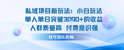 私域项目新玩法小白玩法单人单日突破1k的收益人群质量高付费意识强-水水网赚