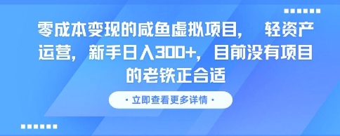 零成本变现的咸鱼虚拟项目， 轻资产运营，新手日入3张+，目前没有项目的老铁正合适-水水网赚