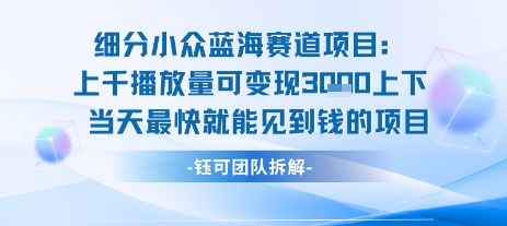 小众蓝海赛道项目：当天变现1k+适合新手操作 +适合长期玩-水水网赚